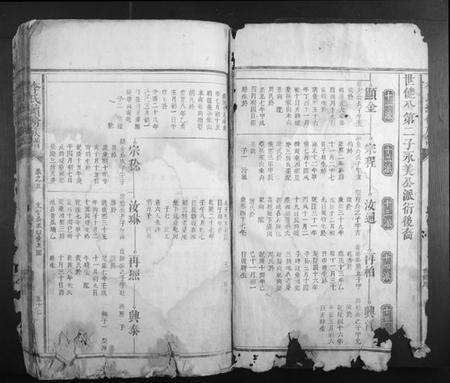 湖南李氏族谱-李氏续修族谱.pdf电子版预览图2