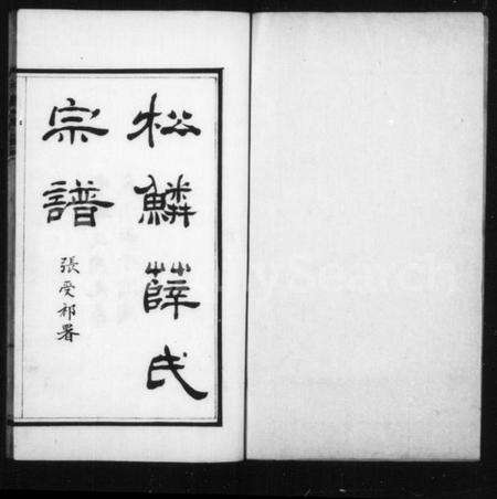 浙江薛氏族谱-松鳞薛氏宗谱 [16卷].pdf电子版预览图2