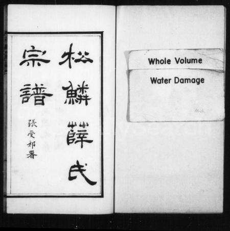 浙江薛氏族谱-松鳞薛氏宗谱 [16卷].pdf电子版预览图3