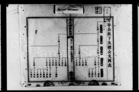湖南李氏族谱-李氏续修族谱 [残卷].pdf电子版预览图2