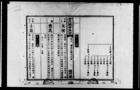 湖南李氏族谱-李氏续修族谱 [残卷].pdf电子版预览图3