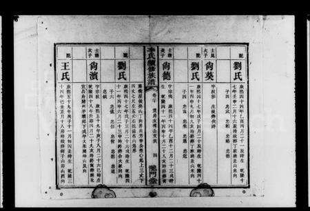 湖南李氏族谱-李氏续修族谱 [残卷].pdf电子版预览图5