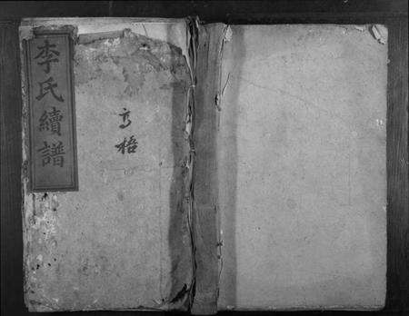 湖南李氏族谱-李氏续谱.pdf电子版缩略图