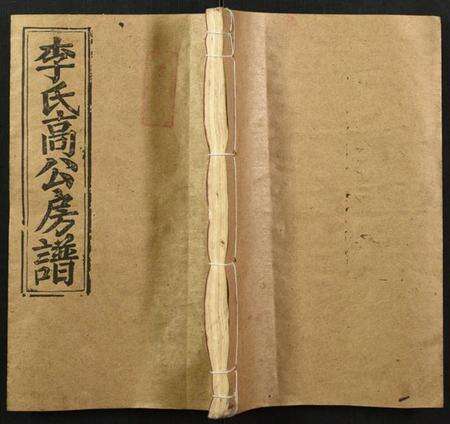 湖南李氏族谱-李氏高公房谱.pdf电子版缩略图