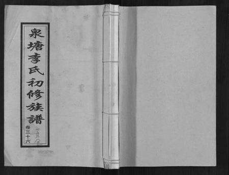 湖南李氏族谱-泉塘李氏初修族谱[53卷首1卷末1卷].pdf电子版缩略图