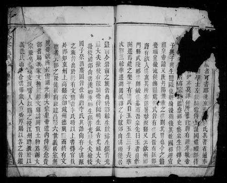 江西洪氏族谱-洪氏重修族谱 [卷数未列].pdf电子版预览图5