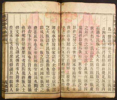 湖南李氏族谱-玉泉李氏族谱.pdf电子版预览图2