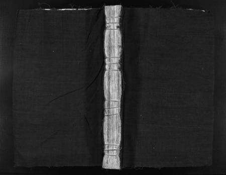 浙江缪氏族谱-栢岩缪氏宗谱 [不分卷].pdf电子版预览图1