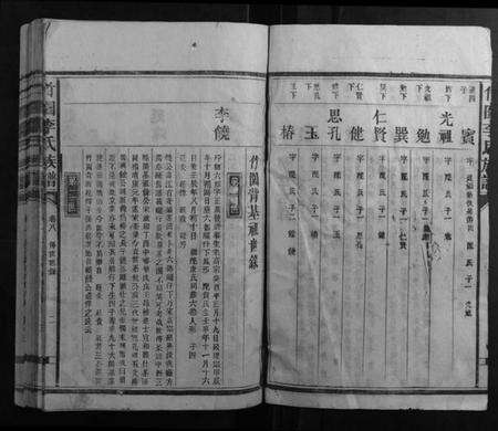 湖南李氏族谱-竹林李氏族谱.pdf电子版预览图2