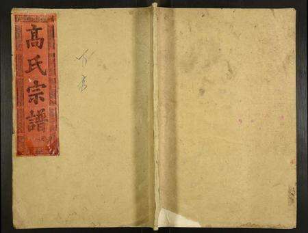 湖北高氏族谱-高氏宗谱.pdf电子版缩略图