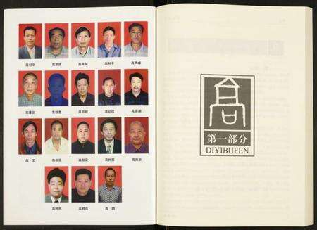 湖北高氏族谱-高氏宗谱.pdf电子版预览图5