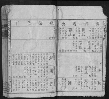 湖南李氏族谱-邵陵汉口李氏家乘.pdf电子版预览图2