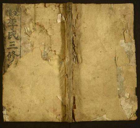 湖南李氏族谱-金楼李氏三修宗谱.pdf电子版缩略图