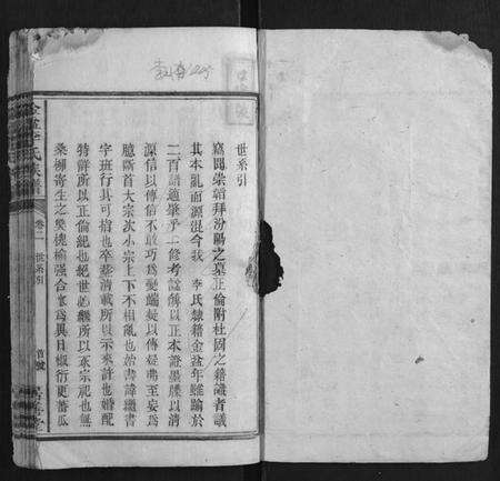 湖南李氏族谱-金盆李氏族谱.pdf电子版预览图1