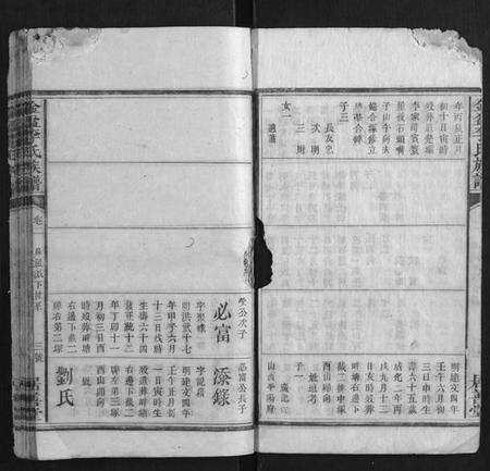 湖南李氏族谱-金盆李氏族谱.pdf电子版预览图4