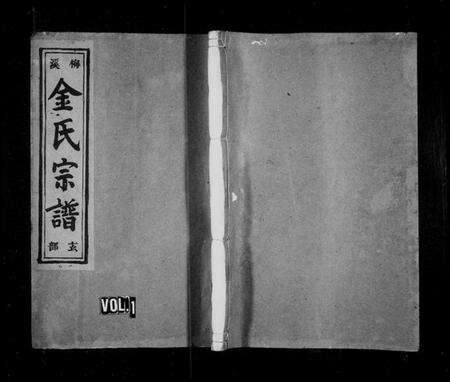 浙江金氏族谱-梅溪金氏宗谱 [13卷].pdf电子版预览图1