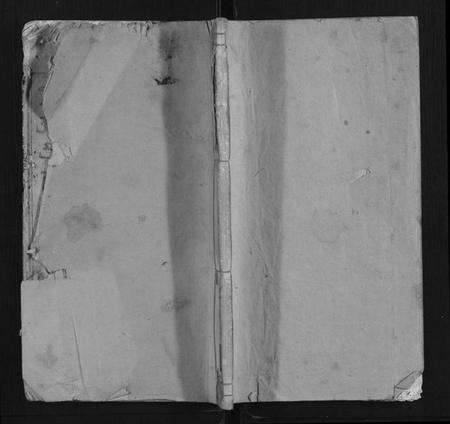 湖南李氏族谱-鸿宁李氏三修支谱[8卷].pdf电子版缩略图