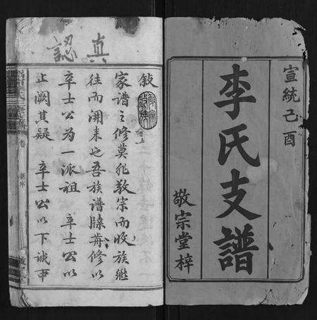 湖南李氏族谱-鸿宁李氏三修支谱[8卷].pdf电子版预览图1