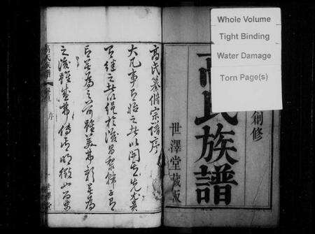 湖北高氏族谱-高氏族谱 [10卷,首2卷].pdf电子版预览图2