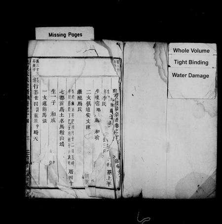 浙江朱氏族谱-棠溪朱氏宗谱 [残卷].pdf电子版预览图2