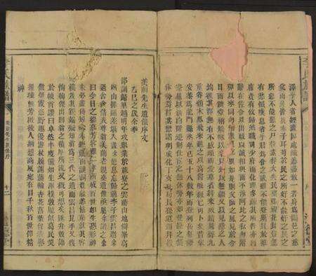 湖南李氏族谱-李氏族谱 [不分卷].pdf电子版预览图2