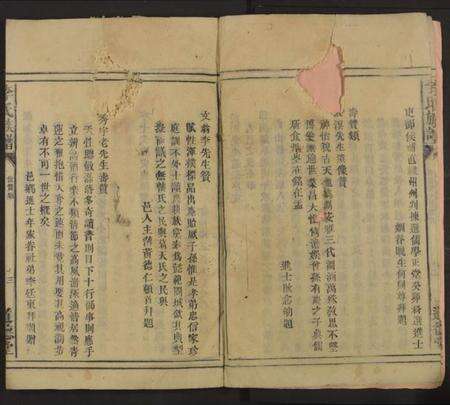 湖南李氏族谱-李氏族谱 [不分卷].pdf电子版预览图3