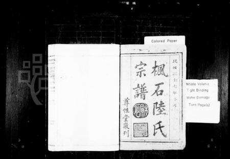 浙江陆氏族谱-枫石陆氏宗谱 [6卷].pdf电子版预览图1