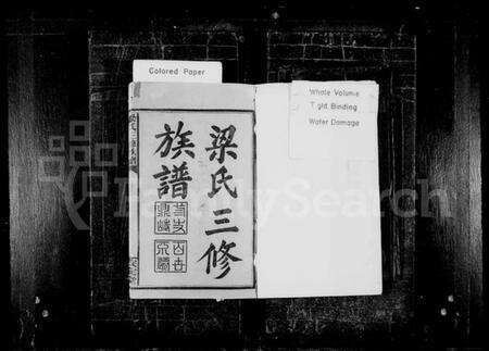 湖南梁氏族谱-梁氏三修族谱 [8卷,含首2卷].pdf电子版预览图2