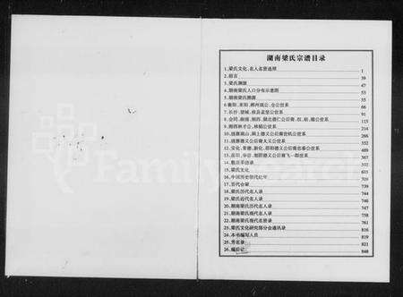 湖南梁氏族谱-湖南梁氏宗谱.pdf电子版预览图3