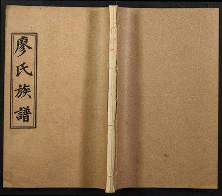 湖南廖氏族谱-廖氏族谱.pdf电子版缩略图