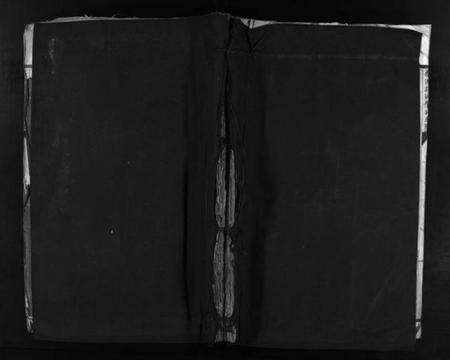 浙江吴氏族谱-乐清花浃吴氏宗谱 [不分卷].pdf电子版预览图1