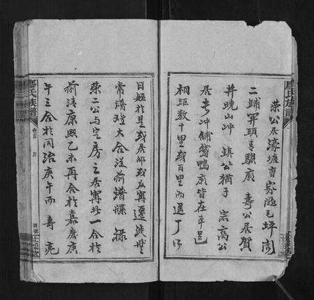 湖南廖氏族谱-廖氏族谱[17卷首1卷].pdf电子版预览图5