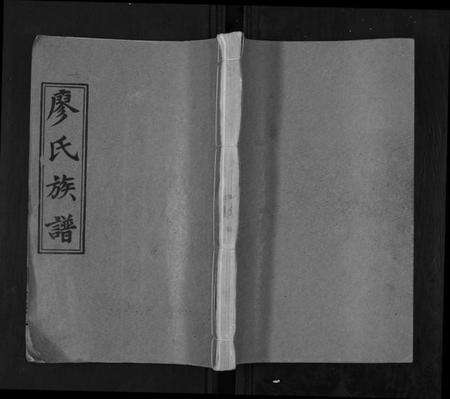 湖南廖氏族谱-廖氏族谱[35卷首5卷].pdf电子版缩略图