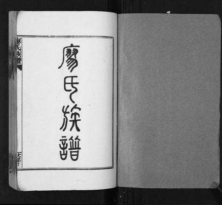 湖南廖氏族谱-廖氏族谱[35卷首5卷].pdf电子版预览图1