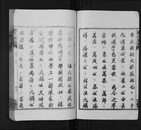 湖南廖氏族谱-廖氏族谱[35卷首5卷].pdf电子版预览图5