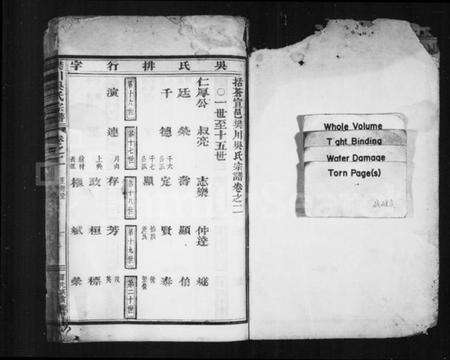 浙江吴氏族谱-樊川吴氏宗谱 [4卷].pdf电子版预览图2