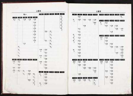 江西胡氏族谱-中华胡姓通谱湾里分谱(下卷).pdf电子版预览图2