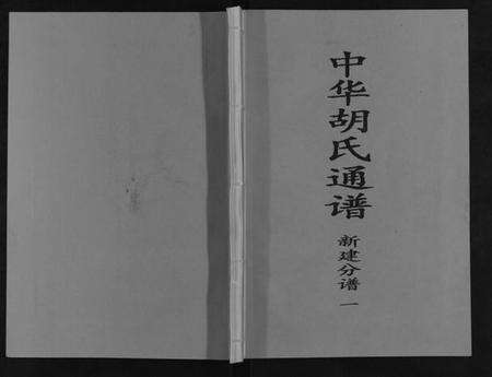 江西胡氏族谱-中华胡氏通谱新建分谱[3卷].pdf电子版缩略图