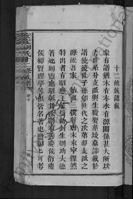 江西胡氏族谱-安定胡氏十二修族谱 [不分卷].pdf电子版预览图3