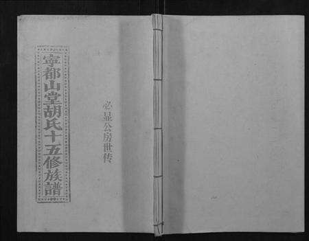 江西胡氏族谱-宁都山堂胡氏十五修族谱.pdf电子版缩略图