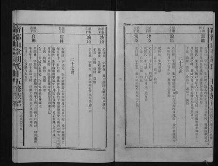 江西胡氏族谱-宁都山堂胡氏十五修族谱.pdf电子版预览图2