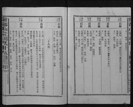 江西胡氏族谱-宁都山堂胡氏十五修族谱.pdf电子版预览图3