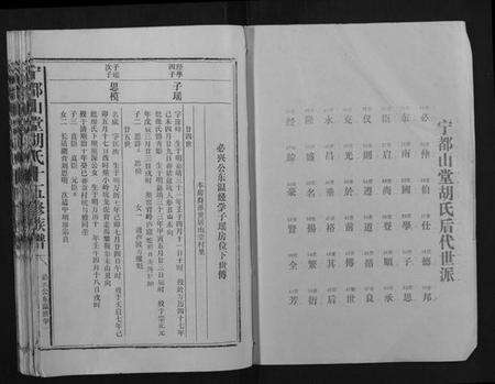 江西胡氏族谱-宁都山堂胡氏十五修族谱.pdf电子版预览图1