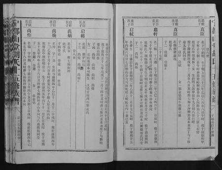 江西胡氏族谱-宁都山堂胡氏十五修族谱.pdf电子版预览图2