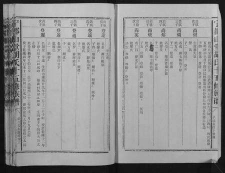 江西胡氏族谱-宁都山堂胡氏十五修族谱.pdf电子版预览图3