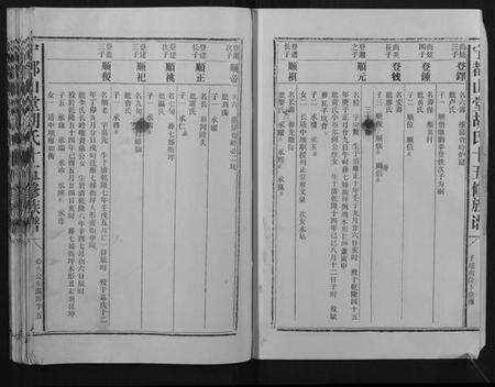 江西胡氏族谱-宁都山堂胡氏十五修族谱.pdf电子版预览图5