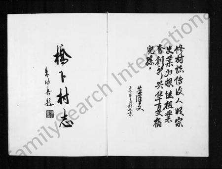 浙江多姓氏族谱-桥下村志.pdf电子版预览图3