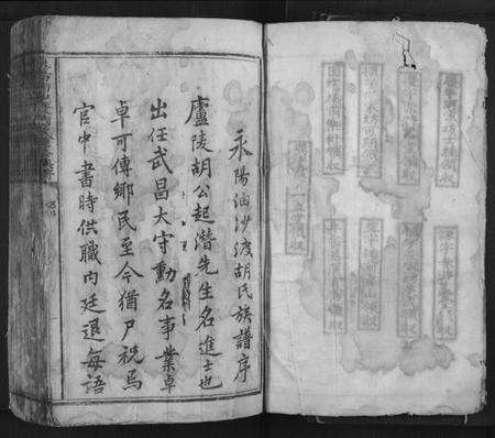 江西胡氏族谱-永阳油沙渡胡氏重修族谱[不分卷].pdf电子版预览图1