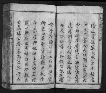 江西胡氏族谱-永阳油沙渡胡氏重修族谱[不分卷].pdf电子版预览图4