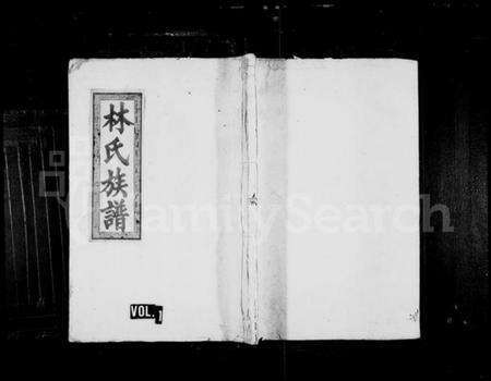 湖南林氏族谱-林氏族谱 [不分卷].pdf电子版预览图1